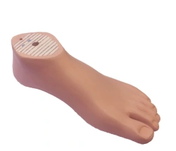 SACH Prosthetic Foot without Adapter, Model 1H02