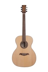 Acoustic Guitar - String Plucked Musical Instrument