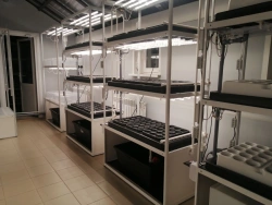 Hydroponic System for Seedling Cultivation - SCHOOL