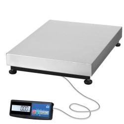 General Purpose Electronic Floor Scales TV-M-300.2-A1