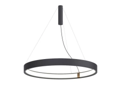 LED Pendant Light Z1 Lighting Ring Slim