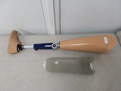 Modular Hip Prosthesis PN6-70M-1 for Developmental Disorders