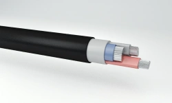 Power Cables with Aluminum Conductors, Plastic Insulation, AVVGng(A)-HL Model