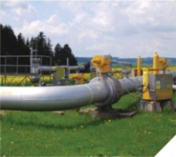 Unified Telemechanics Complex for Automated Control and Management