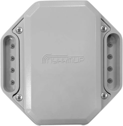 Combined Security Detector "Punktir-A