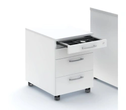 Office and Educational Personnel Cabinet - Home Evolution 080