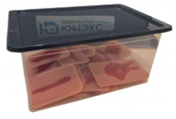 Human Skin Wound and Injury Simulation Kit NMR-19