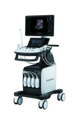 Real-Time Ultrasound Diagnostic System "RuScan 65" TU 26.60.12-003-98204792-2019 with Accessories