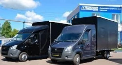 Gasoline-Powered Light Truck 3009D with Optional Features