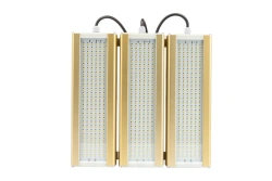 Functional LED Light Module GOLD U-3 5000K 186W