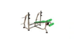 Adjustable Incline Bench Press BP-008 for Optimal Support