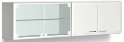 Medical Wall Cabinet for Storing Dental Materials with Two Glass Doors L 031