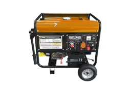 Portable Welding Generator BSG-200