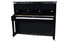 Melody Piano Model 120 - Beginner Musical Instrument