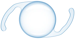 Elastic Intraocular Lens with Open Haptic Part MIOl-2