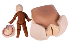 Obstetric Phantom for Demonstrating Birth Mechanics ZK-24