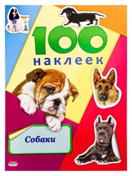 A5 Sticker Album "100 Stickers" by Prof-Press