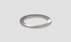 Bearing Ring 045200170119801