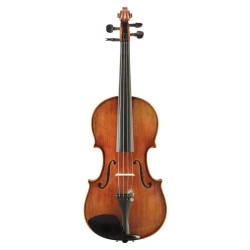 Professional Goronok Violin "Alexey Romanov" 4/4