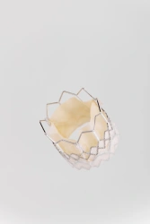 Aortic Heart Valve Replacement with Transcatheter Delivery System "MedLab-CT" Model: Aorta