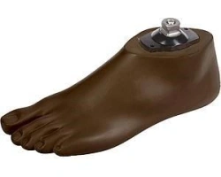 SACH Foot Prosthetic for Above-Knee Amputees Model 1H02ACbr