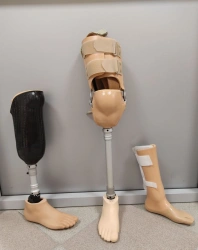 Lower Limb Prosthetic Foot for All Age and Gender Groups