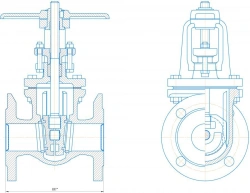 Wedge Cast Iron Gate Valve DN 50