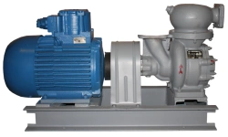 Self-Priming Electric Pump Aggregate 1ASC-20-24