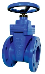 Ductile Iron Gate Valve with Rubber-Coated Wedge 30ч39р SL12