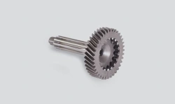 Shaft with Pins 316200180205400