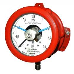 Explosion-Proof Corrosion-Resistant Pressure Gauge DM2005Cg1ExKs