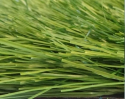 Artificial Grass Turf Covering Grass 65Z/12