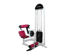 Professional Back and Abdominal Press Machine TG-0340-C