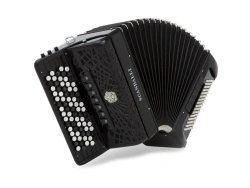 Bayan Musical Instrument S 342 J