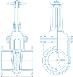 Cast Iron Wedge Gate Valve DN 250