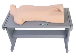 Pleural Cavity and Liver Abscess Puncture Training Model CK819
