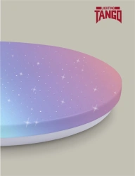 LED Wall-Ceiling Light TANGO NBBR-RC-P-1 "STARRY SKY" 60W RGB