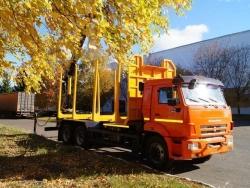 4388D4-10 Truck with Platform and Crane for Timber Transport