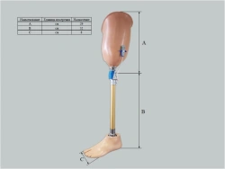 Custom Therapeutic Training Hip Prosthesis
