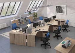Wooden Office Desks for Administrative Spaces - Budget Collection