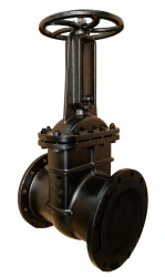 Cast Iron Parallel Gate Valve 30ch6br LT