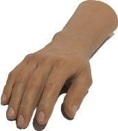 Cosmetic Hand Prosthesis for Partial Restoration of Function