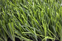 Grass 40/8.8 Artificial Turf Covering