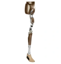 Modular Microprocessor-Controlled Hip Prosthesis PN8-MPU.1