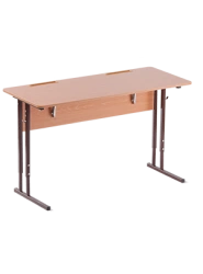 Standard Two-Seat Student Desk with Adjustable Height and Tilt Type 2