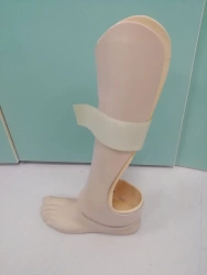 Modular Soft Polyurethane Foot Prosthesis PN0-OB