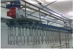 Overhead Gutting Conveyor System T-Profile