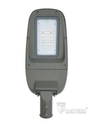 Phosphor LED Light for Perimeter and Area Lighting - C100-485