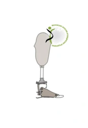 Modular Below-Knee Prosthesis with Microprocessor Control PN3-88MU
