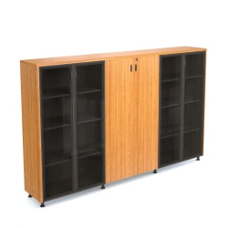 Wooden Office Cabinet for Documents Model 270/2